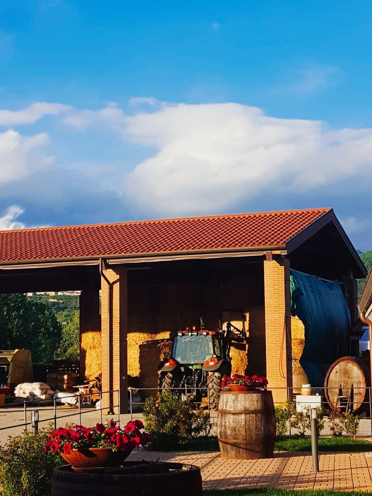 Agriturismo Bini سارزانا المظهر الخارجي الصورة